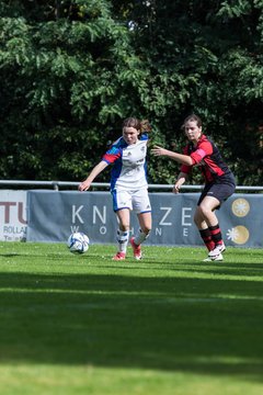 Bild 243 - B-Juniorinnen SVHU - Weststeinburg : Ergebnis: 15:0